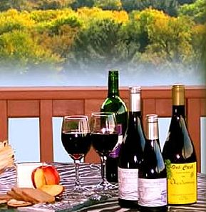 Learn How to Choose the Right Wine for Your Gourmet Meal